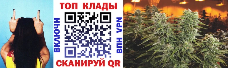 Купить закладку Петропавловск-Камчатский Галлюциногенные грибы  Гашиш  Конопля 