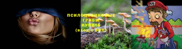 прущие крисы Алексин
